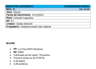Lote Toros - Establecimiento Dante Albrecht