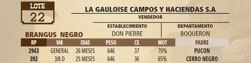 Lote LOTE 22 - VIVO
