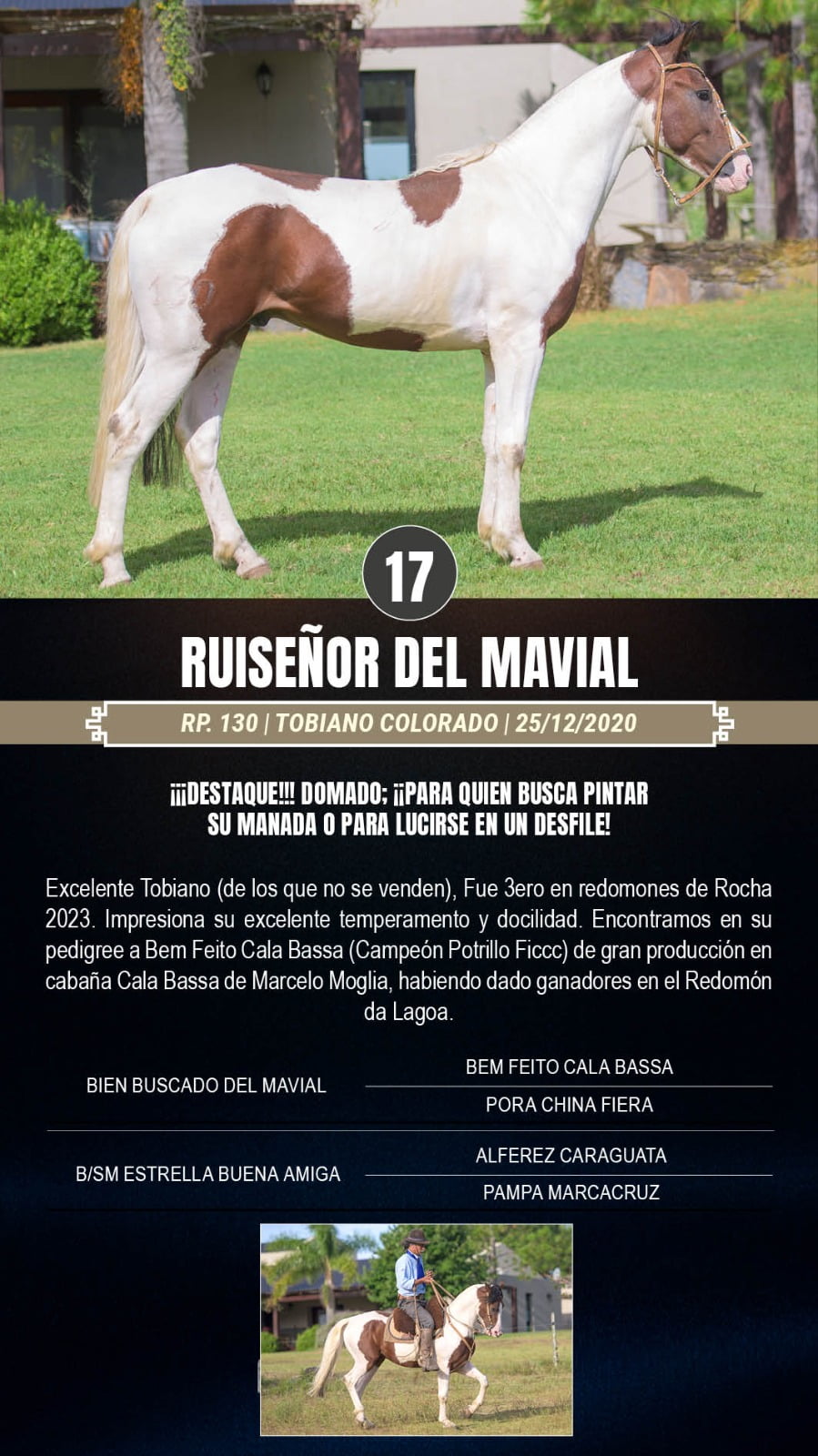 Lote Ruiseñor del Mavial