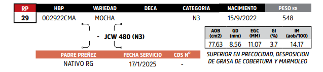 Lote LOTE 81