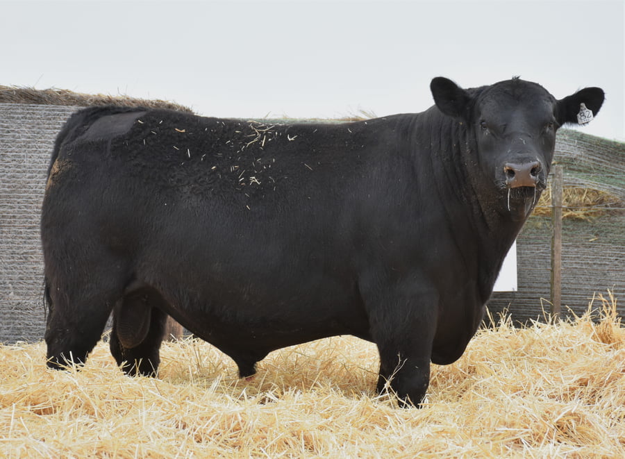 Lote RINCON POTENTE MIX 2780 - RINCON  TRANSITADO EURO 158
