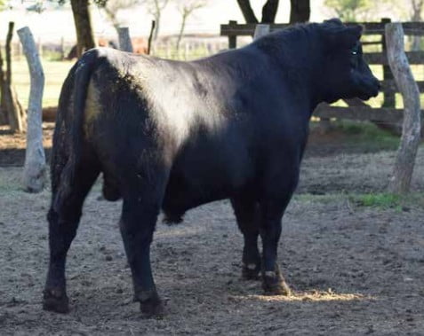 Lote CABAÑA "COEMBOTA" DE CALDERÓN RP 182