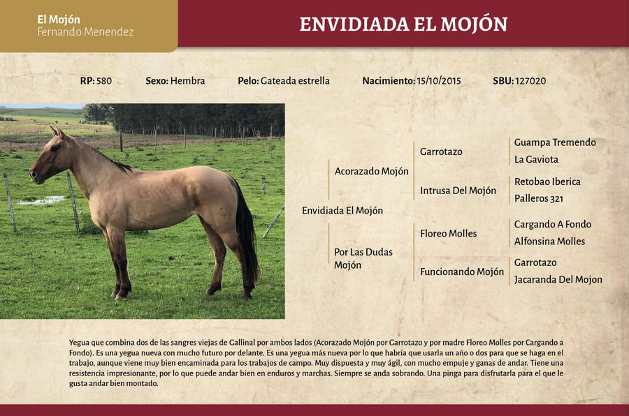 Lote Envidiada El Mojón (RP 580) - Cabaña "El Mojón”