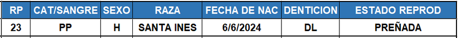 Lote LOTE 33