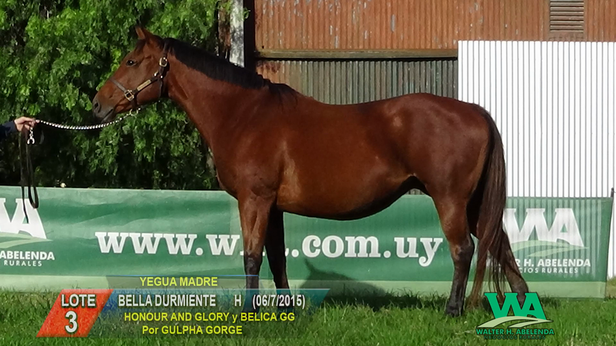 Lote BELLA DURMIENTE