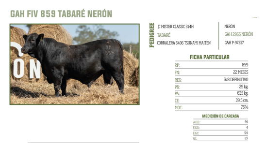 Lote LOTE 34