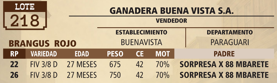 Lote LOTE 218 - VIVO
