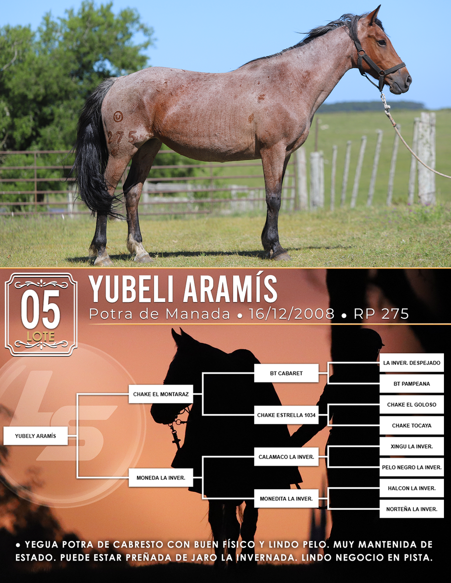 Lote YUBELI ARAMÍS
