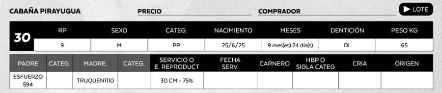 Lote LOTE 30