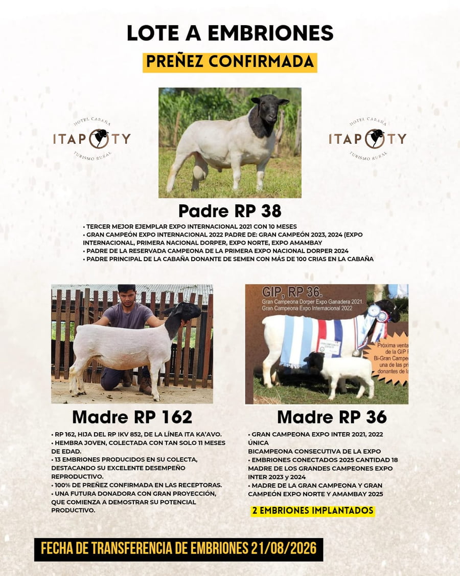 Lote LOTE A