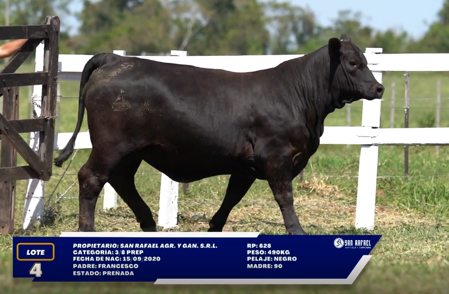 Lote LOTE 4