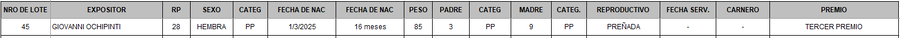 Lote LOTE 45 - BOZAL