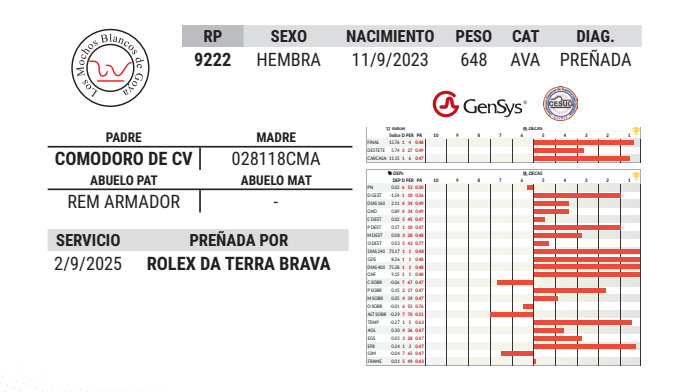 Lote LOTE 17