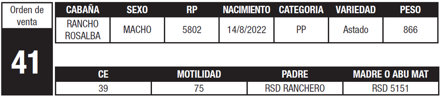 Lote LOTE 41
