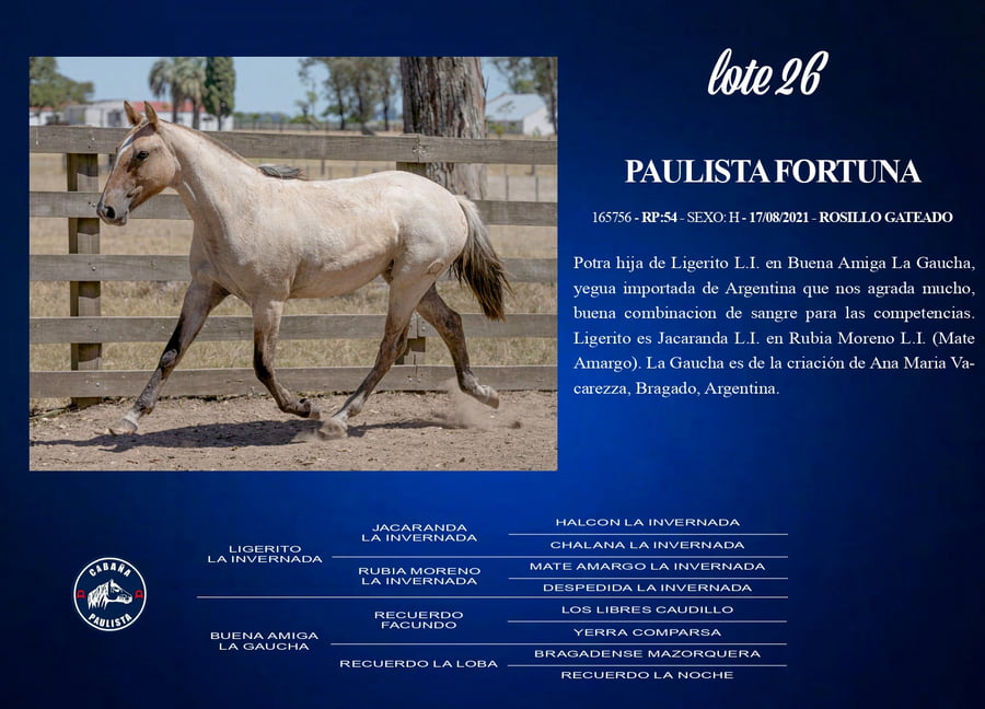 Lote Paulista Fortuna