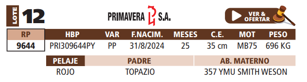 Lote LOTE 12