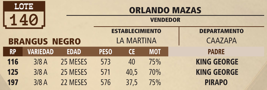 Lote LOTE 140 - VIVO
