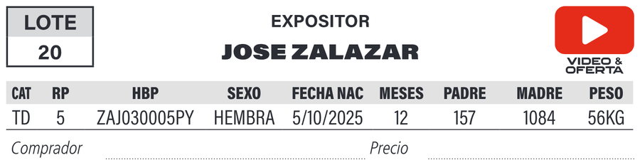 Lote LOTE 20