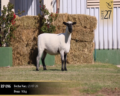 Lote Borregas a remate en Cabaña Las Brujas, San José