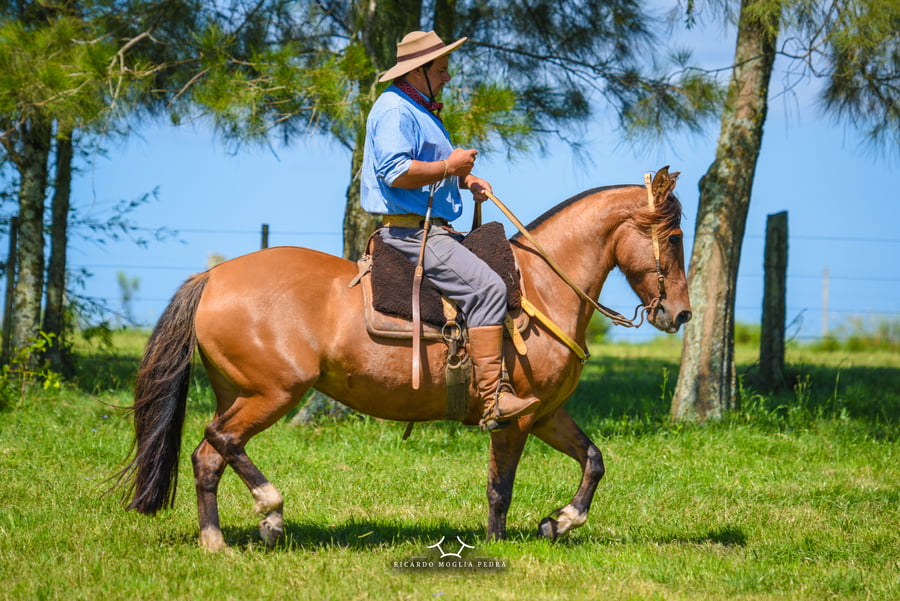 Lote El Gavilan Justina (RP 346) Cabaña "El Gavilan"