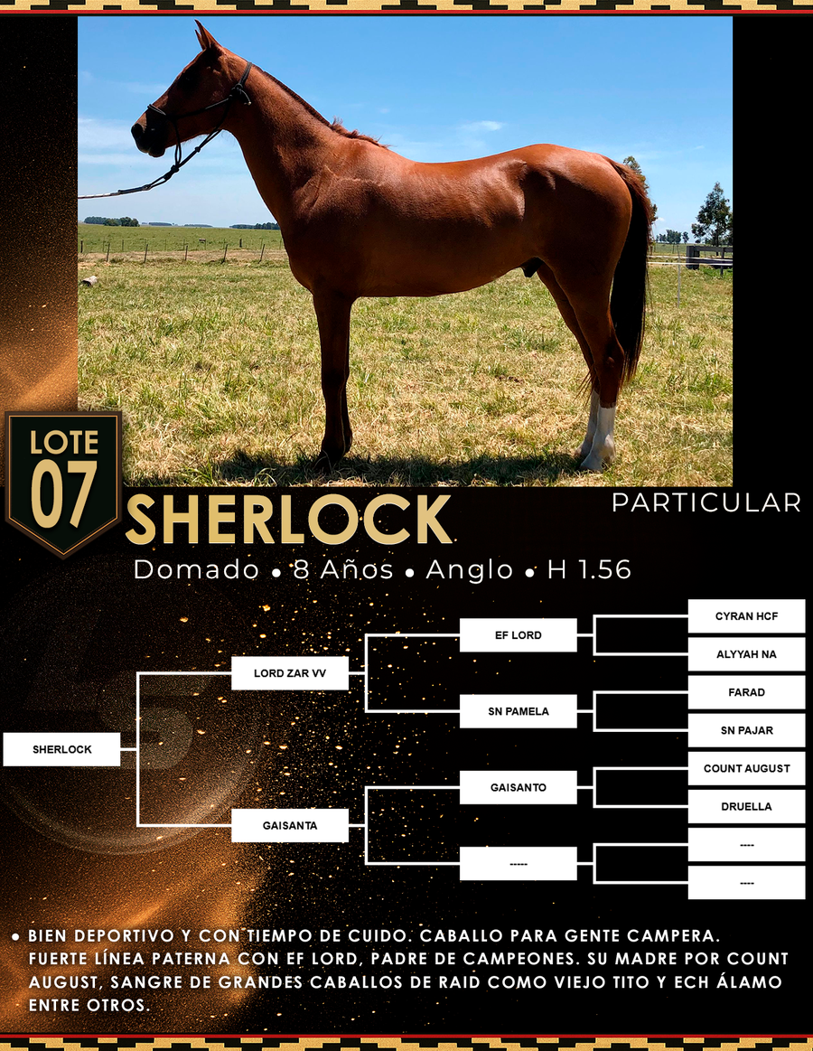 Lote SHERLOCK