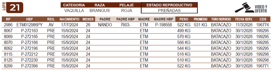 Lote LOTE 21