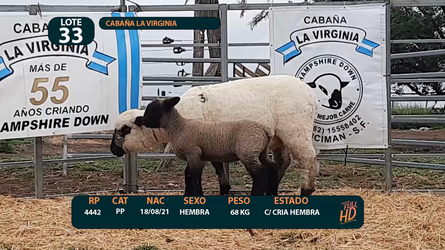 Lote LOTE 33 - CABAÑA ARGENTINA