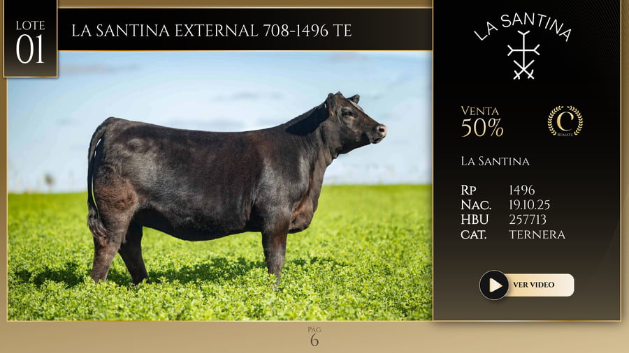 Lote LA SANTINA EXTERNAL 708-1496 TE