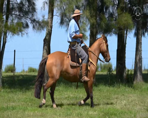 Lote Cañada Guasquera (RP 283) Cabaña "La Cañada"