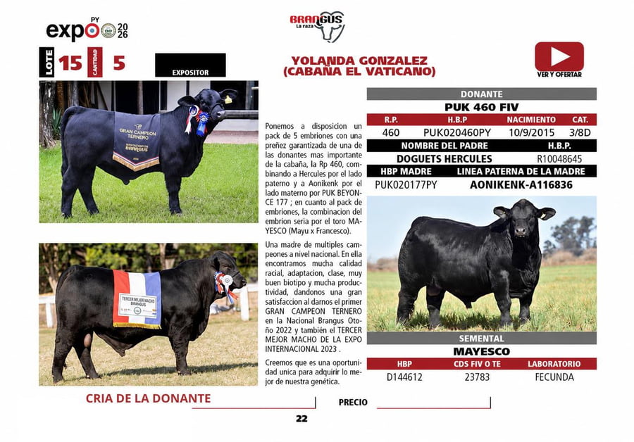 Lote LOTE 15