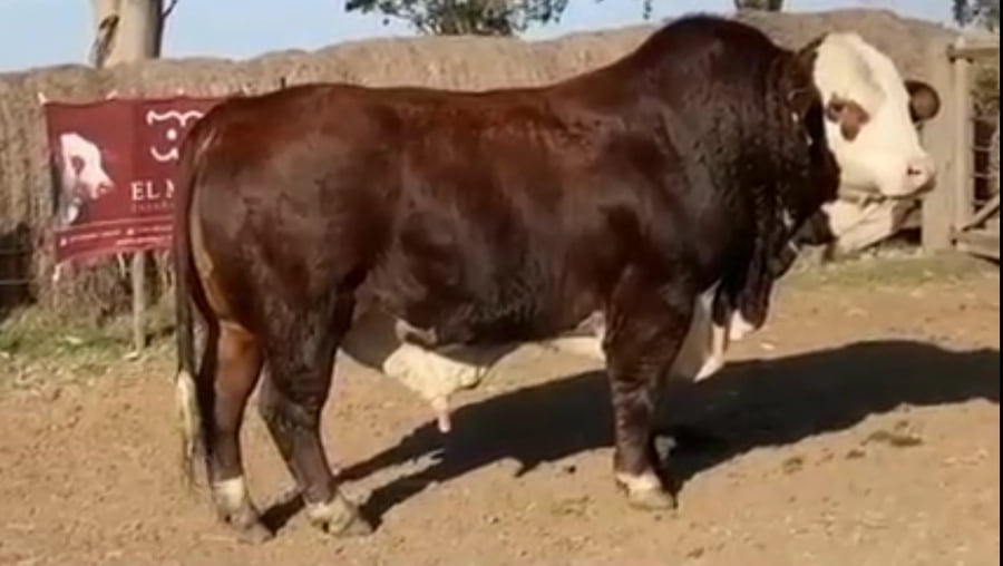 Lote CABAÑA EL MATE