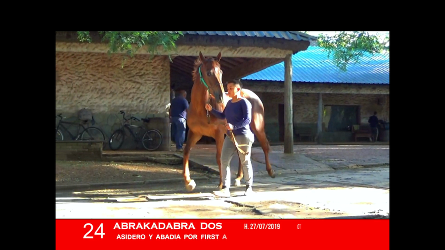 Lote ABRAKADABRA DOS