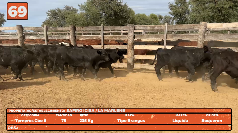 Lote LOTE 69