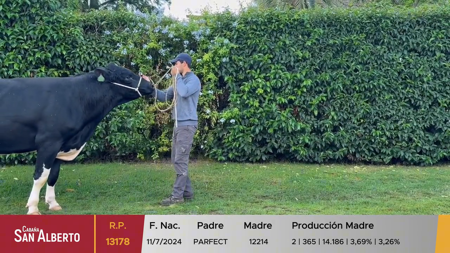 Lote Toros a remate en 40º Cabaña San Alberto, Canelones