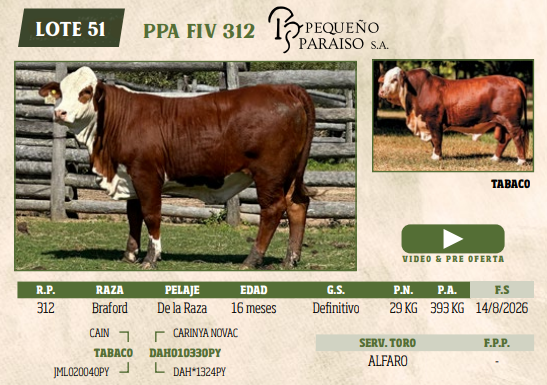 Lote LOTE 51