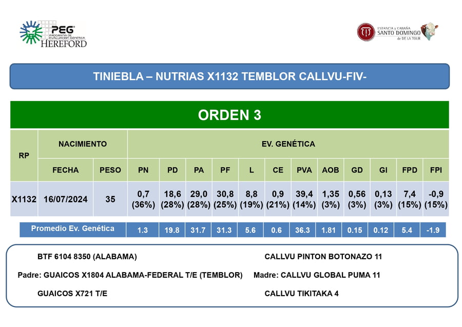 Lote Terneras PP