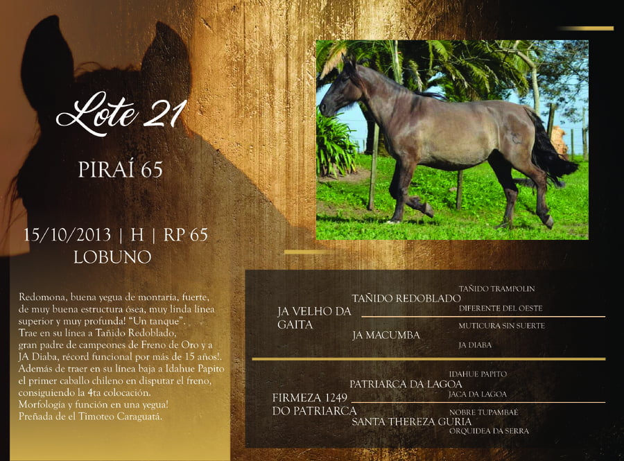Lote RP 65 - PIRAÍ 65