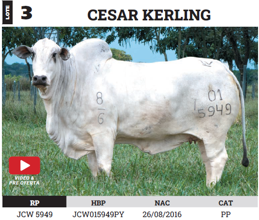 Lote LOTE 3 - PREÑECES