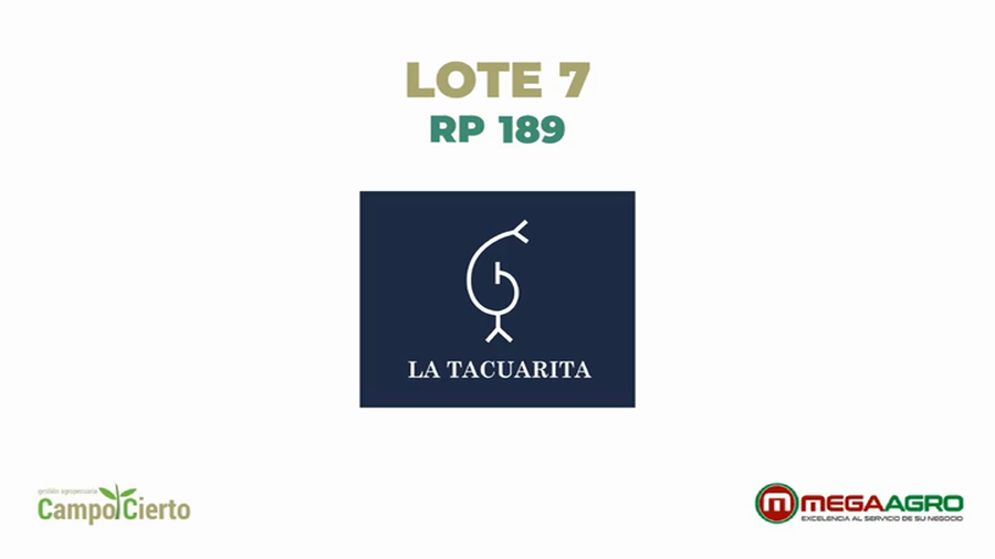 Lote LA TACUARITA