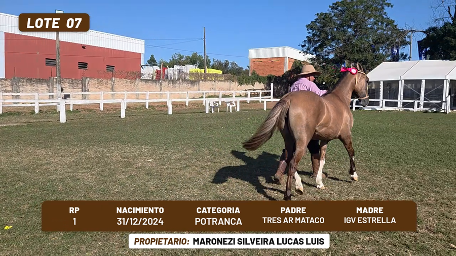 Lote LOTE 7