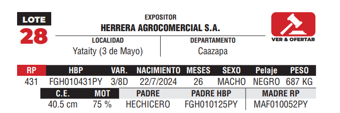 Lote LOTE 28 - DE CAMPO