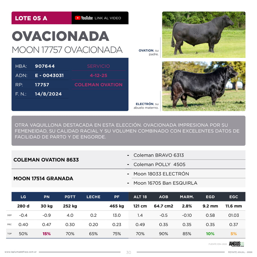 Lote RP 17757 Y 17788 - VAQUILLONAS PP ELITE VENTA DE UNA ELECCION