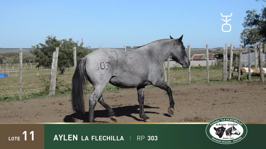 Lote AYLEN LA FLECHILLA