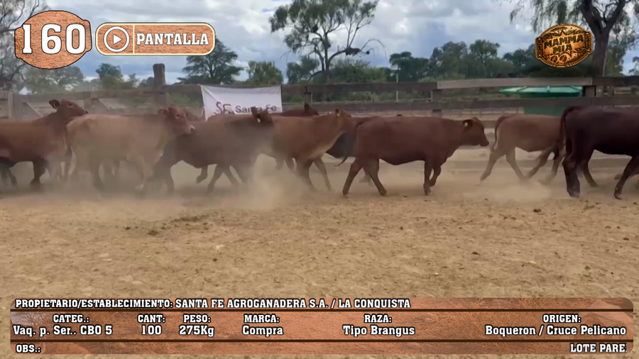 Lote LOTE 160 - PANTALLA