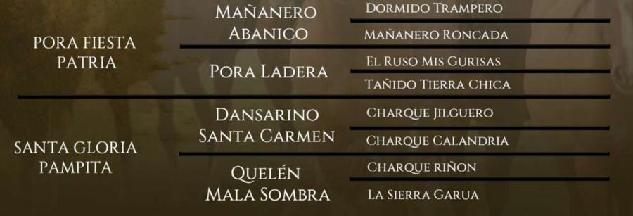 Lote Santa Gloria Alma Mia