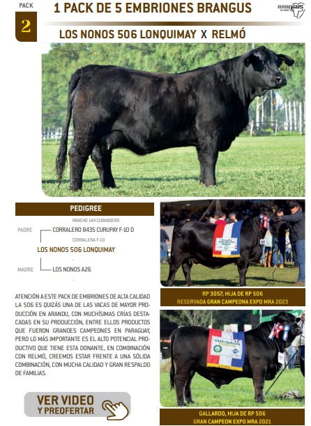 Lote PACK 2