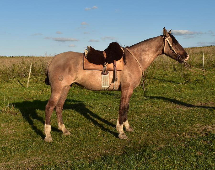 Lote Cabaña "Firmeza" - RP 73 - Piraí 73