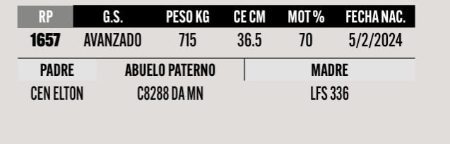 Lote LOTE 14