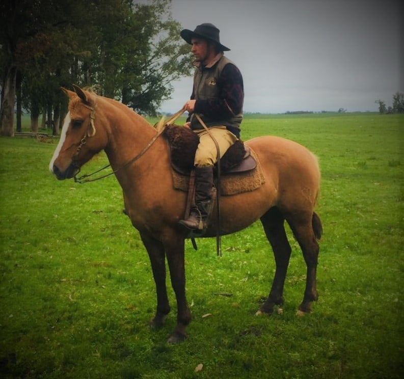 Lote Cabaña "La Colmena" - RP 391 - Colmena 391