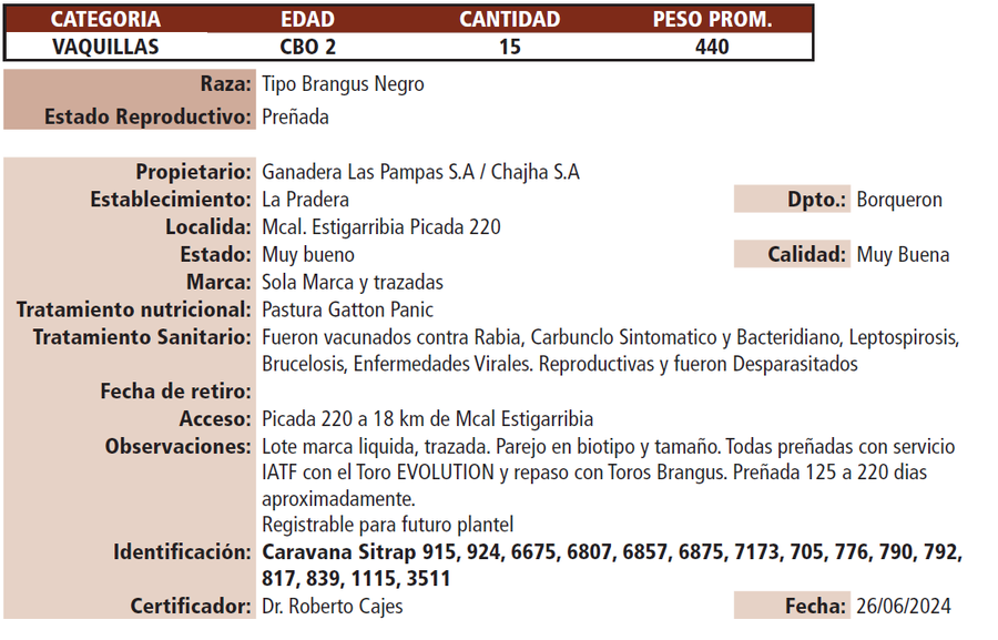 Lote LOTE E